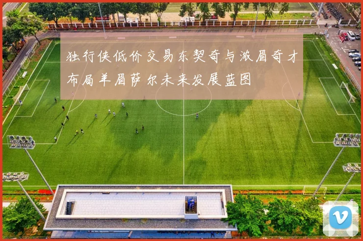 独行侠低价交易东契奇与浓眉奇才布局羊眉萨尔未来发展蓝图